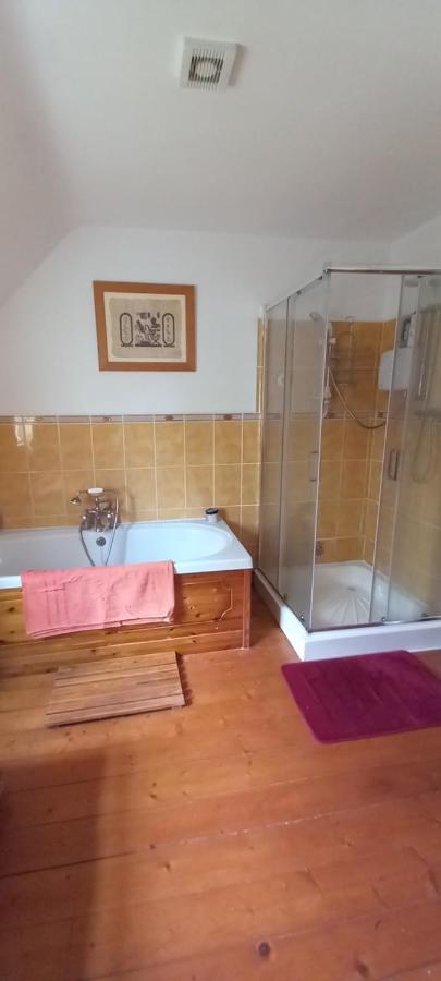Large Family Home In Wexford Marys B&B Enniscorthy Exteriér fotografie