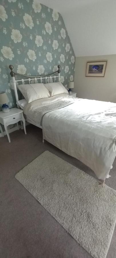 Large Family Home In Wexford Marys B&B Enniscorthy Exteriér fotografie