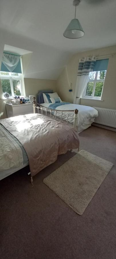Large Family Home In Wexford Marys B&B Enniscorthy Exteriér fotografie