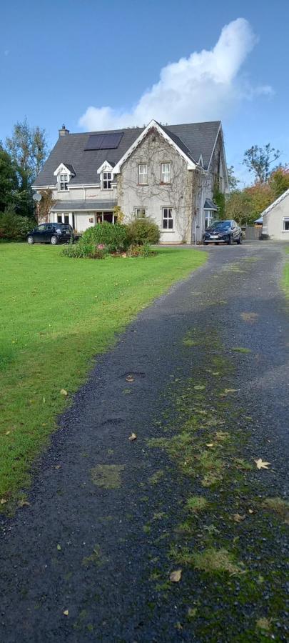 Large Family Home In Wexford Marys B&B Enniscorthy Exteriér fotografie
