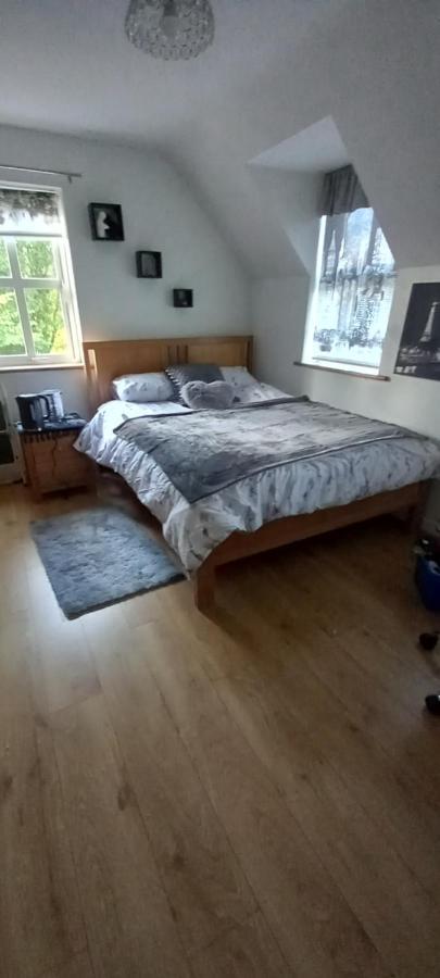 Large Family Home In Wexford Marys B&B Enniscorthy Exteriér fotografie