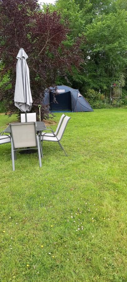 Large Family Home In Wexford Marys B&B Enniscorthy Exteriér fotografie
