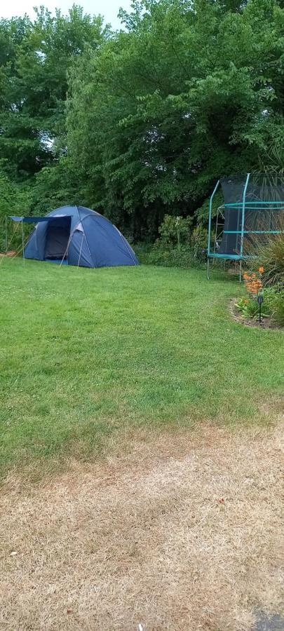 Large Family Home In Wexford Marys B&B Enniscorthy Exteriér fotografie